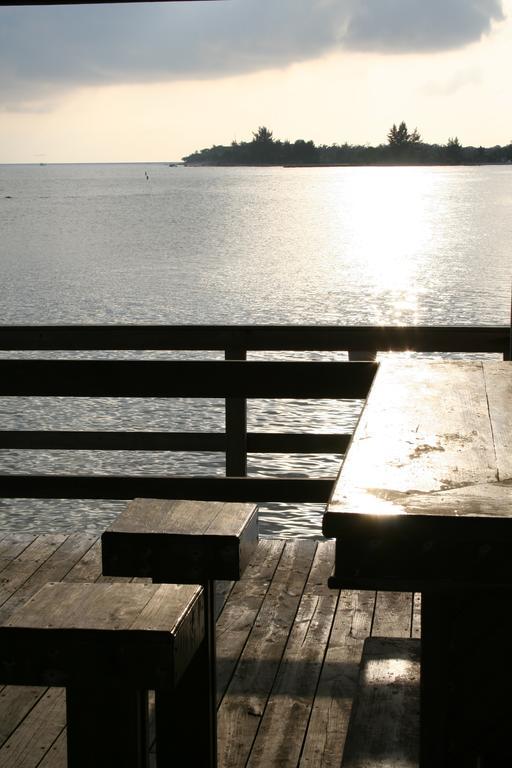 Coral View Beach Resort Utila Ngoại thất bức ảnh
