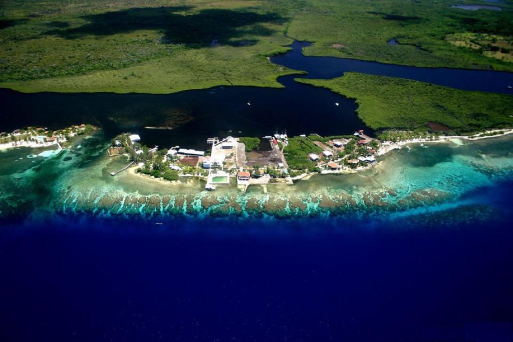 Coral View Beach Resort Utila Ngoại thất bức ảnh