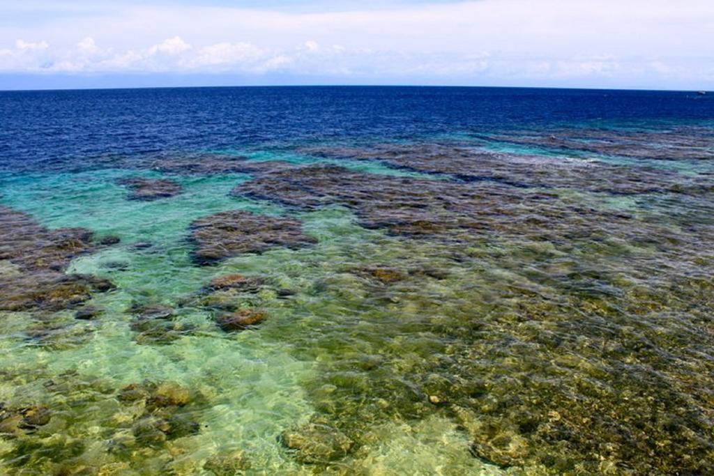 Coral View Beach Resort Utila Ngoại thất bức ảnh